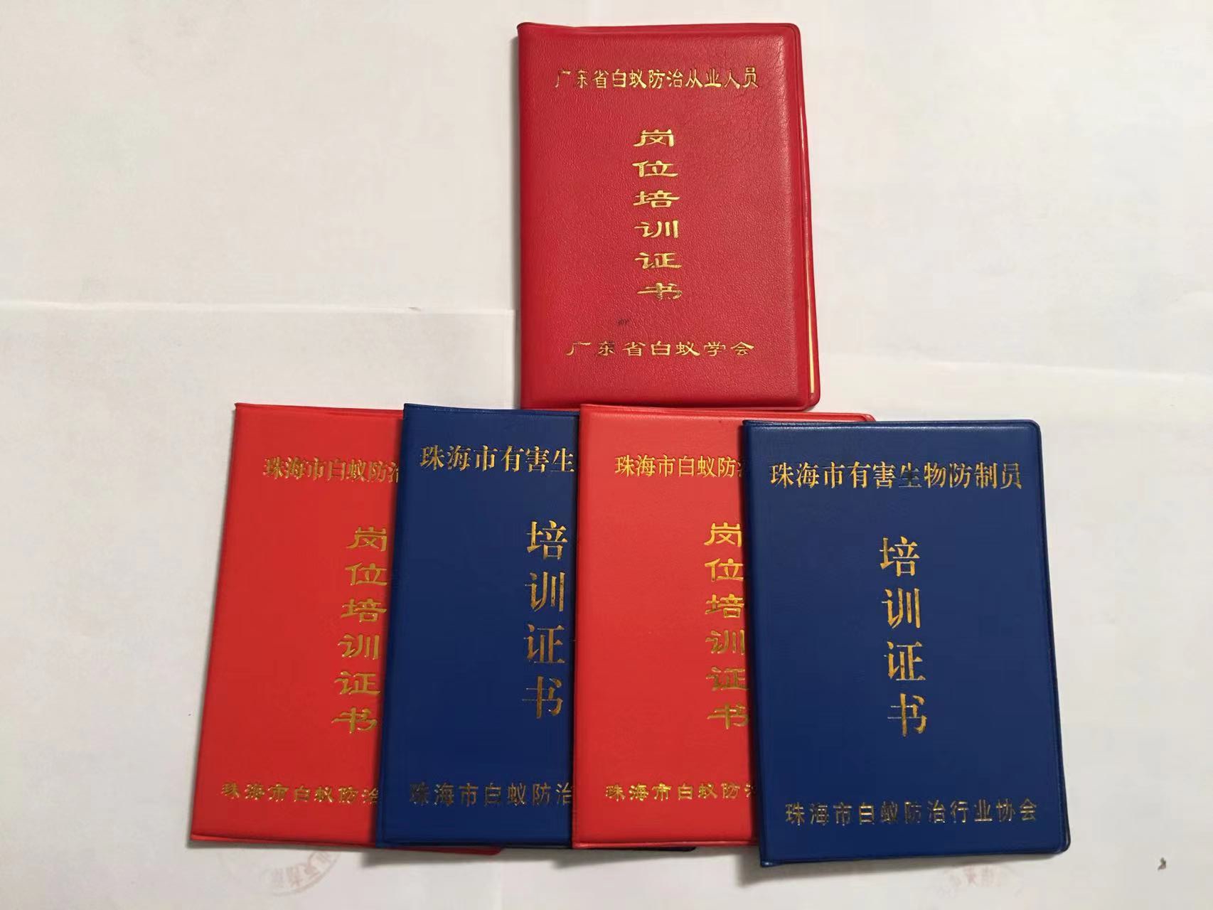 中山為什么會(huì)有白蟻 中山白蟻防治 中山白